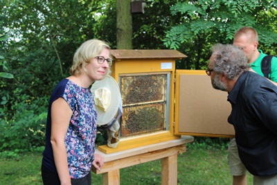 Blick in den Bienenschaukasten: Umweltdezernentin Stefanie Seiler und Stadtimker Harald Hoffmann