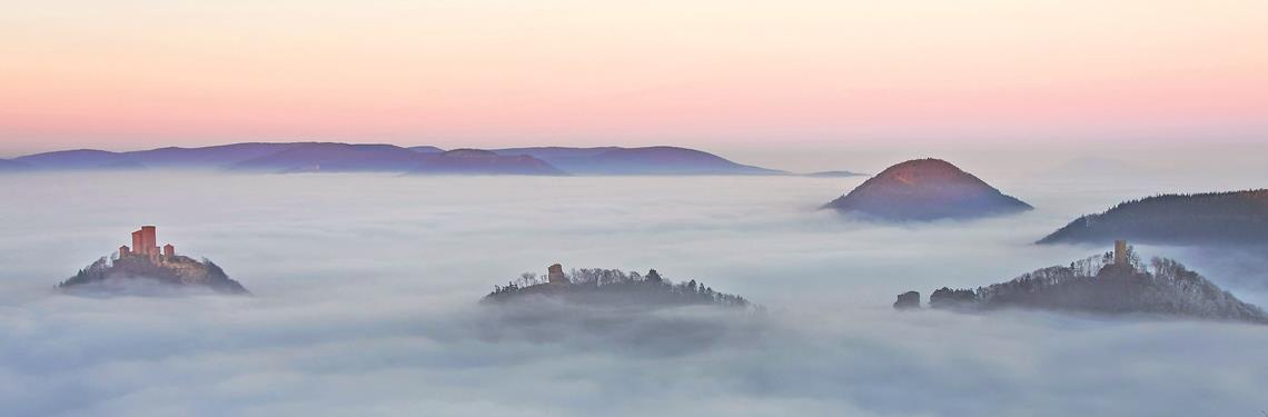 Trifels im Nebel: Die Burgen Trifels, Anebos und Münz
Bildnachweis: pmbvw