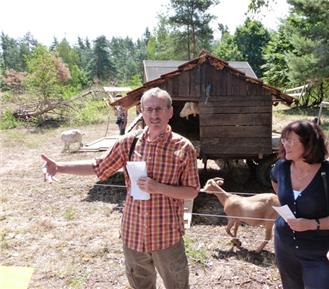 Dr. Peter Keller, Leiter des Naturschutzgroßprojektes Bienwald, und Landrätin Theresia Riedmaier (SÜW) auf der Sanddüne im Bienwald, die derzeit von einer Ziegenherde beweidet wird.